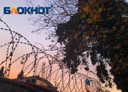 Ранен в руку: стрелок из Сочи задержан правоохранителями