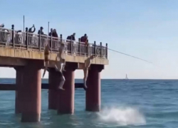 Компания молодых людей совершила экстремальный прыжок в Черное море
